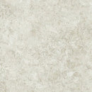 【Antiviral】(Floor sheet) Floorlium Soiled NW『20FL621』9m/roll 1820 mm (W) × 2.0 mm (T),  Antiviral / Antibacterial Vinyl Flooring Sheet TOLI