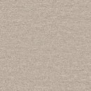 【Antibacterial】BB2215 Plain Design [Non-combustible Certified] Anti-Virus, Anti-Bacterial, Crack-Resistant – Sincol Wallpaper (Wallcovering)