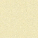 【Antibacterial】BB2333 Plain Design [Fireproof Certified] / Antiviral,  Crack-Resistant / SINCOL Wallpaper – "Best" Series