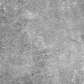 CF3741 Old Cement Design [Pet-Friendly, Suitable for Outdoor Shoes, Deodorizing, Shock-Absorbing] TOLI Cushion Flooring