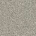 CF3760 Mikage Granite-Look [Pet-Friendly, Suitable for Shoes, Deodorizing, Shock-Absorbing] TOLI Cushion Flooring