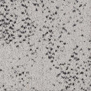 "Low Shipping Costs!" [Tsubu-Tsubu] DT-611T Sangetsu High-End Tile Carpet