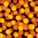 (NO.11)【Luxury Tile Carpet Outlet Sale!!】EXC-20002118-HS 50cm × 50cm（16 tiles per case）