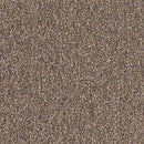 Square 2400 [Soiree] 【10 pieces/case】FF2402 50×50cm, 10mm Thickness, Cut Pile – TOLI Residential Carpet Tile, Fabric Floor Vol.5