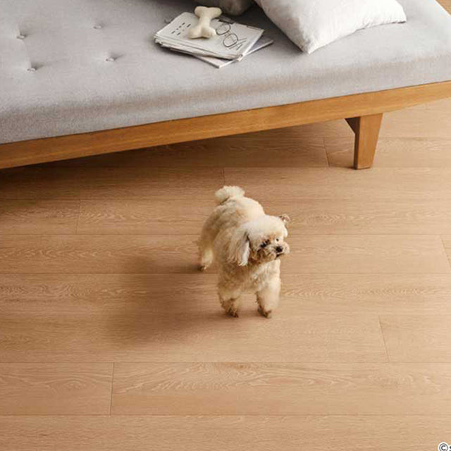 【Great Deal!! 20m Roll 】HW12190　Wan-Nyan Deodorizing Floor – Pet Cushion Flooring by Sangetsu