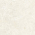 [20m Roll]Sangetsu Pet-Friendly Deodorizing Cushion Flooring –HW12197-12198  | Odor-Reducing & Antibacterial