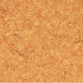 【Antiviral】Lonpatio CT [PMC1101–1113] 13 Colors — Lonseal Antiviral / No-Wax Vinyl Vinyl Floor Sheet Sheet 9m/roll 1820 mm (W) × 2.0 mm (T