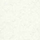 【Antiviral】Lonpatio CT [PMC1101–1113] 13 Colors — Lonseal Antiviral / No-Wax Vinyl Vinyl Floor Sheet Sheet 9m/roll 1820 mm (W) × 2.0 mm (T