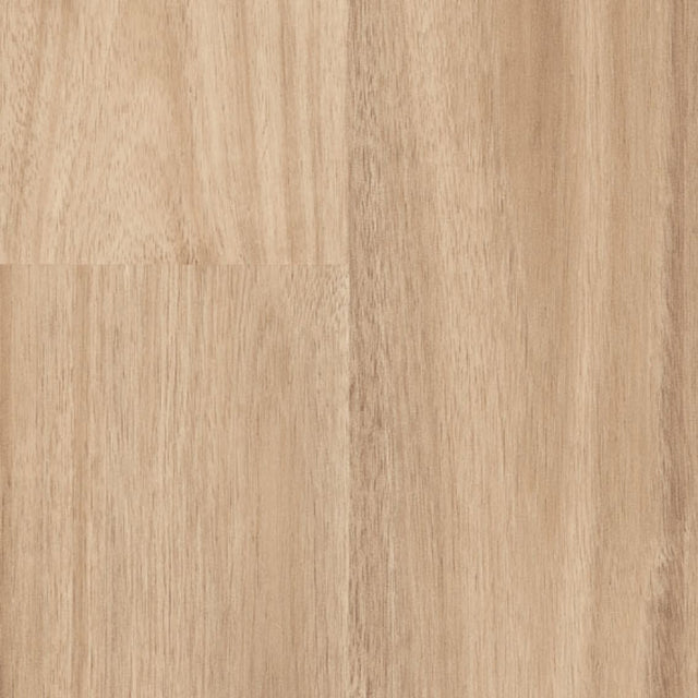 【Antiviral】[Gran Acacia] Decolea Free Sincol 9m/roll 1820 mm (W) × 2.0 mm (T) (Vinyl Sheet Flooring)