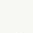 "Low Shipping Costs!"【Sangetsu Wallpaper Outlet wallpaper】SLP304