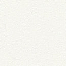 "Low Shipping Costs!"【Sangetsu Wallpaper Outlet wallpaper】SLP306