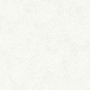 "Low Shipping Costs!"【Sangetsu Wallpaper Outlet wallpaper】SLP341