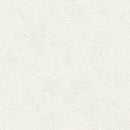 "Low Shipping Costs!"【Sangetsu Wallpaper Outlet wallpaper】SLP342