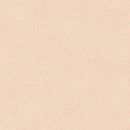 "Low Shipping Costs!"【Sangetsu Wallpaper Outlet wallpaper】SLP366