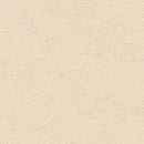 "Low Shipping Costs!"【Sangetsu Wallpaper Outlet wallpaper】SLP367