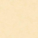 "Low Shipping Costs!"【Sangetsu Wallpaper Outlet wallpaper】SLP369