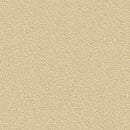 "Low Shipping Costs!"【Sangetsu Wallpaper Outlet wallpaper】SLP404