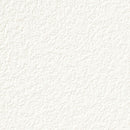 "Low Shipping Costs!"【Sangetsu Wallpaper Outlet wallpaper】SP9712