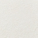 "Low Shipping Costs!"【Sangetsu Wallpaper Outlet wallpaper】SP9731