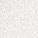 "Low Shipping Costs!"【Sangetsu Wallpaper Outlet wallpaper】SP9743