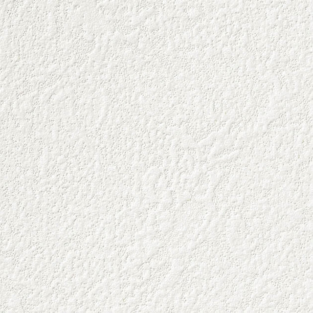 "Low Shipping Costs!"【Sangetsu Wallpaper Outlet wallpaper】SP9743
