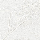 "Low Shipping Costs!"【Sangetsu Wallpaper Outlet wallpaper】SP9745