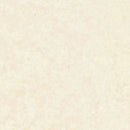 【Antiviral】SRS9553–9558 [Powder] – “Riflessia” Long Sheet Vinyl Flooring by SINCOL (2.0 mm thick / SIAA Antiviral Certified)