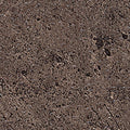 【Antiviral】 [STC1001–3002] 10 Colors – Lonseal Antiviral, No-Wax Vinyl Floor Sheet Sheet 9m/roll 1820 mm (W) × 2.0 mm (T