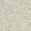 【Antiviral】Non-Wax Lyume NW, 2 mm Thick For Heavy-Traffic Areas TS5231 / TS5232 [Natural Oak] High-Durability, Anti-Virus TOLI Vinyl Floor Sheet (per meter)