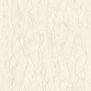 CF3545  Pet-friendly stone Vinyl floor sheet TOLI  (Floor sheet Japan Quality)