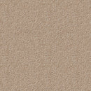 Attack 270 [Canvas Fine] Toli Residential Tile Carpet Fabric Floor【10 pcs / case   】【For Housing】
