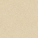 (Zen Vinyl Sheet Flooring Japan Quality) Continuous flooring  Floor rum  CAR201_CAR210（2mm) TOLI【9M per Roll】