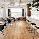 CF3504  Pet-friendly Vinyl floor sheet TOLI  (Floor sheet Japan Quality)