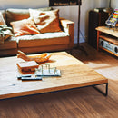 CF3505  Pet-friendly Vinyl floor sheet TOLI  (Floor sheet Japan Quality)