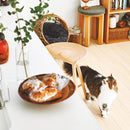 CF3517 Pet-friendly Vinyl floor sheet TOLI  (Floor sheet Japan Quality)