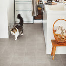 CF3501, CF3502,CF3503  Pet-friendly Vinyl floor sheet TOLI  (Floor sheet Japan Quality)