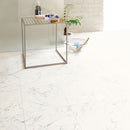 CF3547  Pet-friendly stone Vinyl floor sheet TOLI  (Floor sheet Japan Quality)