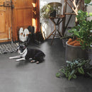 CF3550  Pet-friendly stone Vinyl floor sheet TOLI  (Floor sheet Japan Quality)