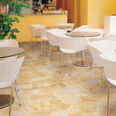 CF3565 Pet-friendly stone Vinyl floor sheet TOLI  (Floor sheet Japan Quality)