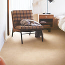 CF3566 Pet-friendly stone Vinyl floor sheet TOLI  (Floor sheet Japan Quality)