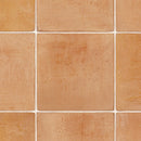 CF3567 Pet-friendly stone Vinyl floor sheet TOLI  (Floor sheet Japan Quality)