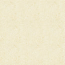 Decorative film for outdoors [Belbien EX] 40 items (EA, EF, EM, ES, EW)【Minimum order: 1 meter】