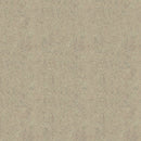 Decorative film for outdoors [Belbien EX] 40 items (EA, EF, EM, ES, EW)【Minimum order: 1 meter】