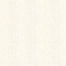 Decorative film for outdoors [Belbien EX] 40 items (EA, EF, EM, ES, EW)【Minimum order: 1 meter】