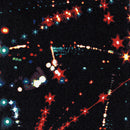 Zen Carpet Tiles Japan Quality