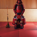 TATAMI Japan Quality floor TATAMI-X L2954 2955 2956 SINCOL