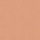 Zen interior Shoji Paper Japan Quality