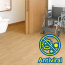 zen interior Continuous flooring Japan Quality