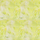 Zen interior Shoji Paper Japan Quality