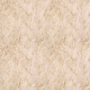 Zen interior Shoji Paper Japan Quality